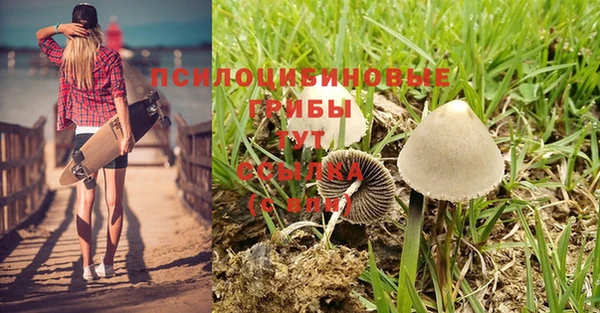 прущие крисы Абаза