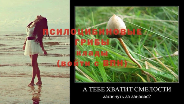 дживик Переславль-Залесский