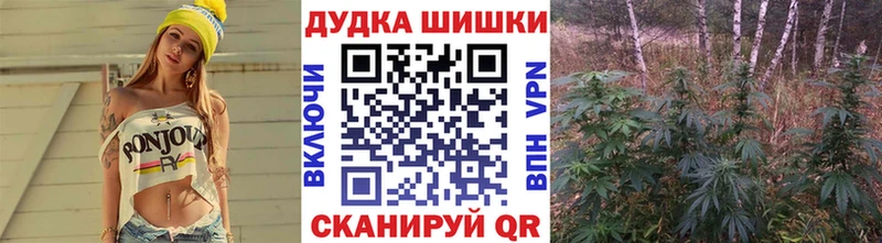 Марихуана SATIVA & INDICA  закладки  Дубна 